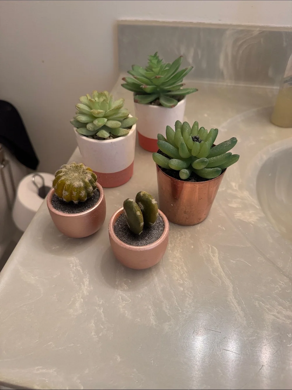 Mini Decorative Succulent Planter Set in Green and Rose Gold